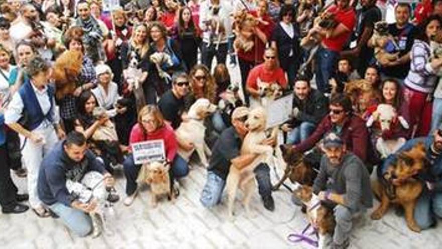 Las mascotas reclaman su espacio en la capital