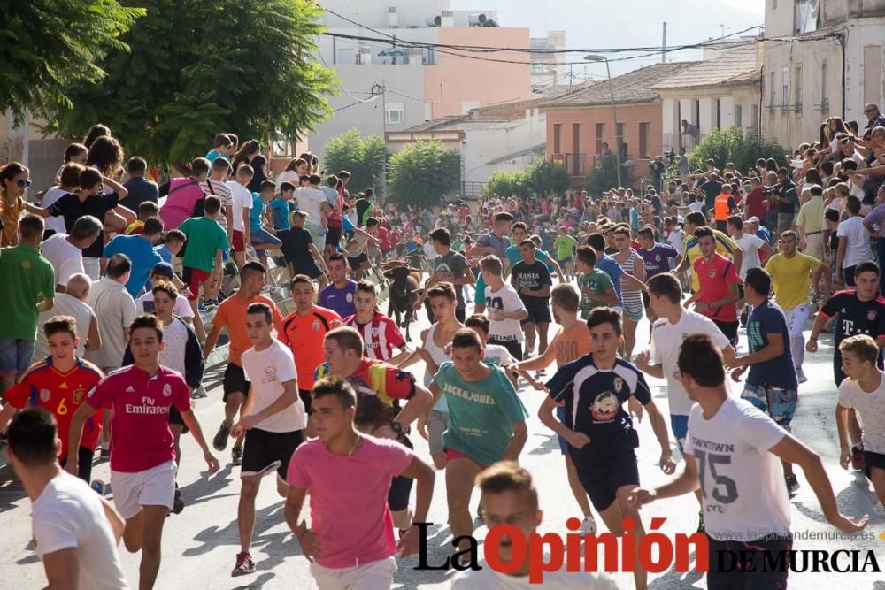 Encierro 'pequeño' en Calasparra