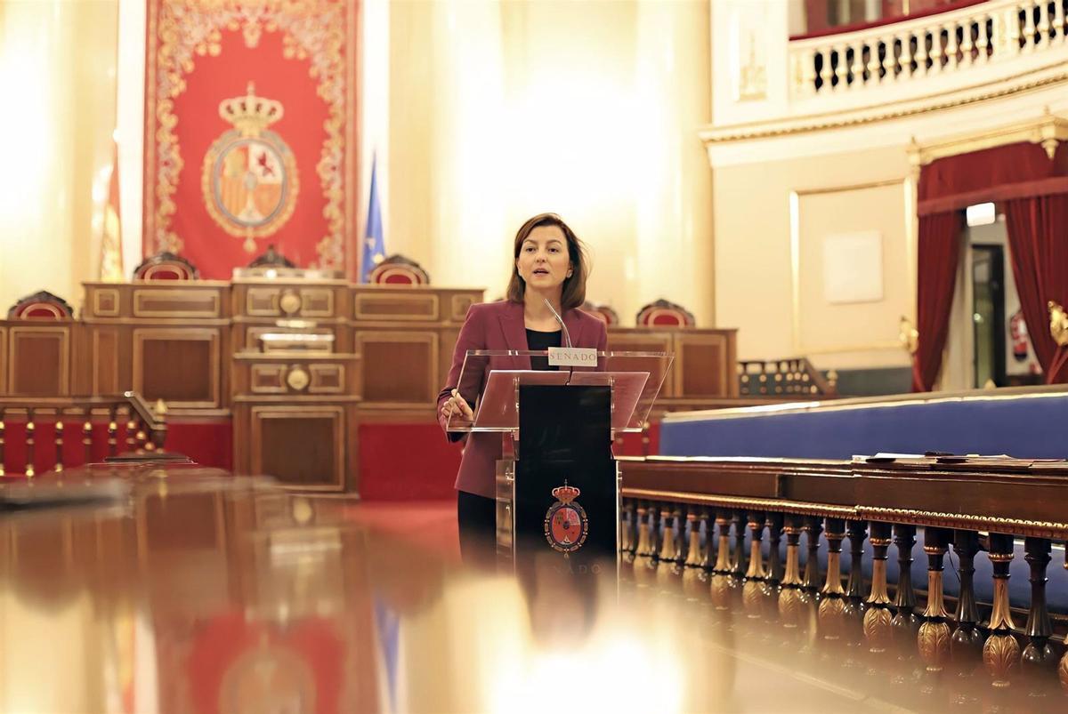 La portavoz del PSOE en el Senado, Eva Granados