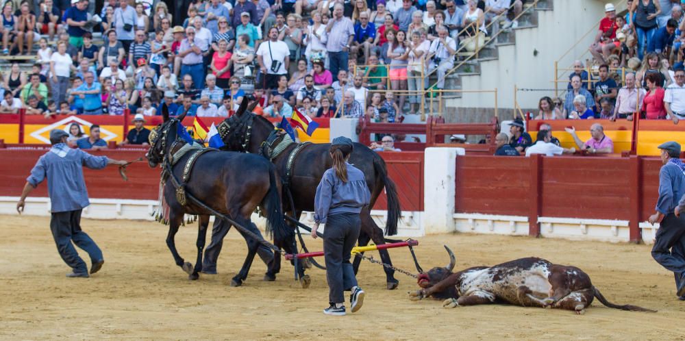 Fervor por los nuevos valores en la becerrada de la feria de San Juan