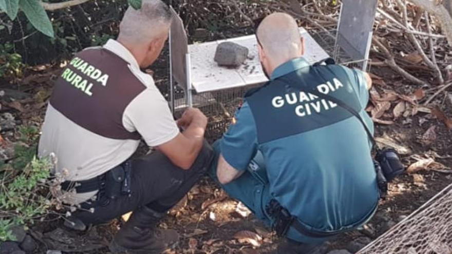 Un guarda rural y un agente del Seprona durante una intervención.