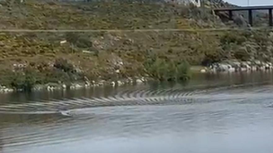 VÍDEO | El inquietante remolino de agua visto en este embalse de Zamora