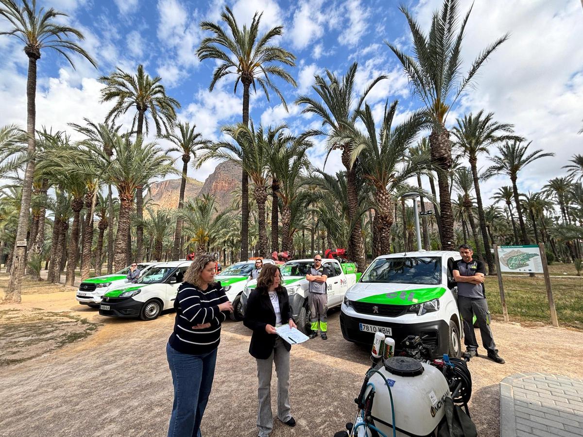 Medios para el tratamiento de mosquitos en el Palmeral