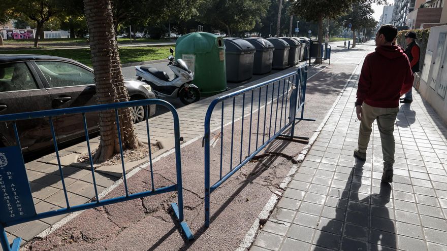 Los árboles del Pau 5 invaden el carril bici en Mestro José Garberí