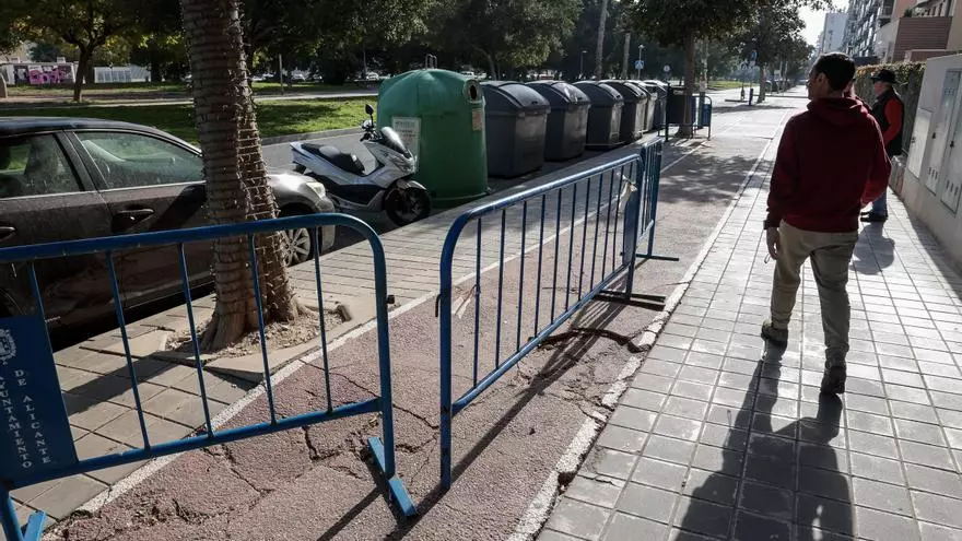 Los árboles del Pau 5 invaden el carril bici en Mestro José Garberí