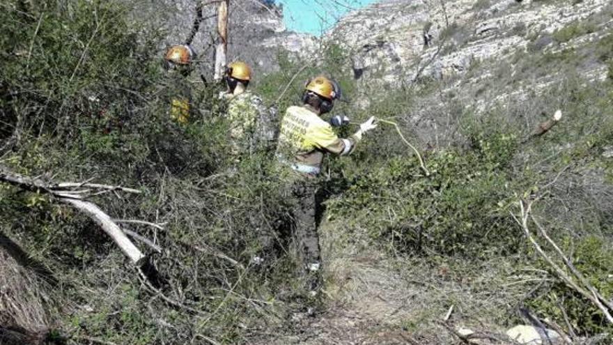 La brigada limpia la zona de la Falzia, en Almiserà.