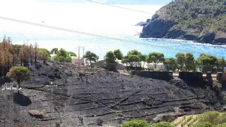 Les vinyes i les pastures, clau per frenar l'expansió de l'incendi de Colera i Portbou