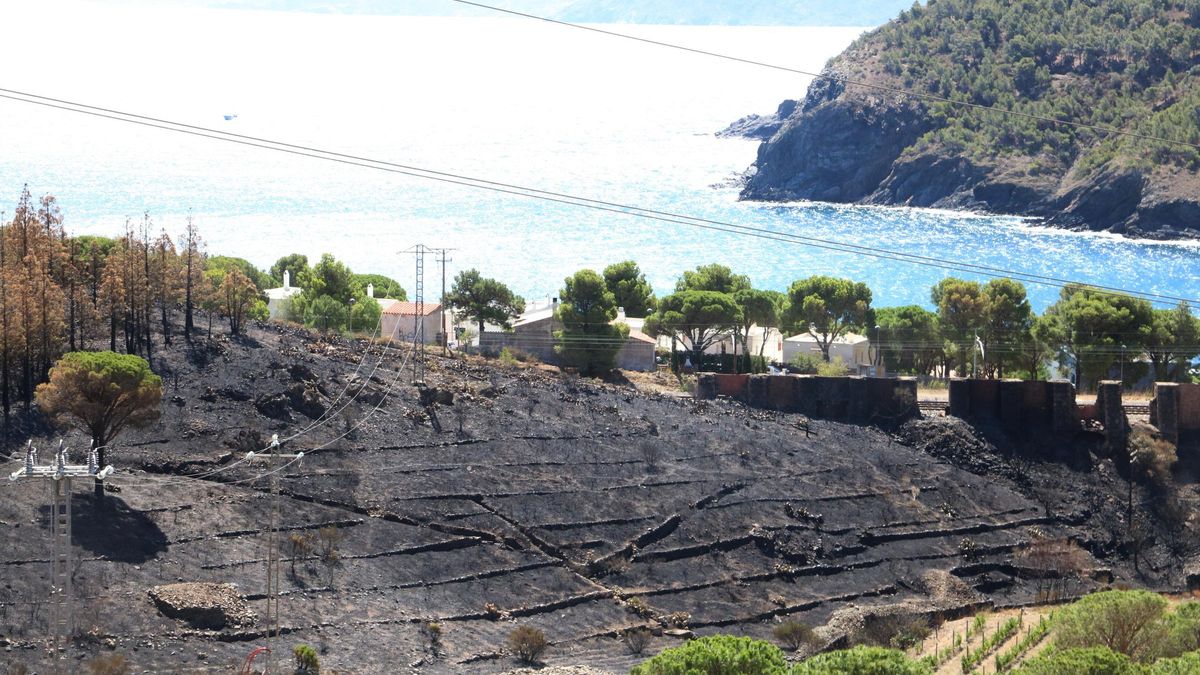 Part de la finca de l'Eduard cremada per l'incendi de Portbou