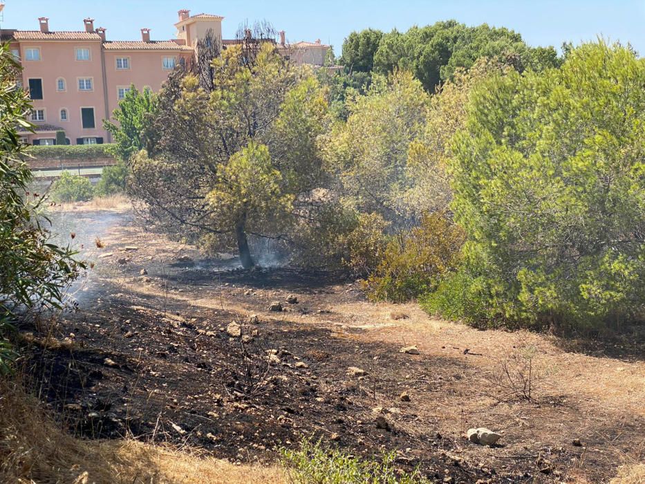 Alarma por un incendio en un bosque de la urbanización Puig de Ros, en Llucmajor