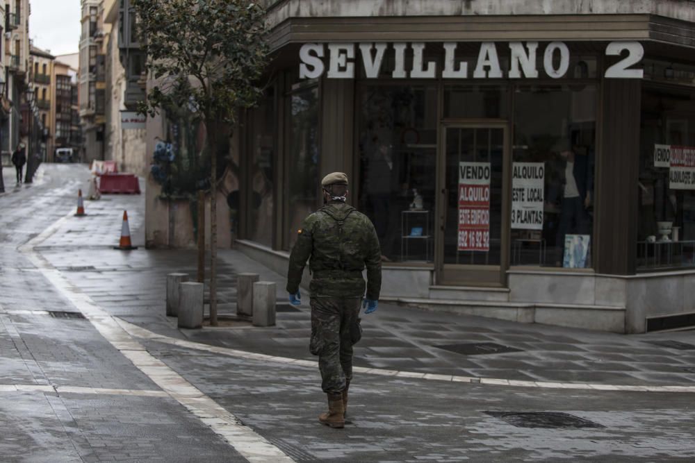 Las imágenes del Ejército de Tierra en Zamora