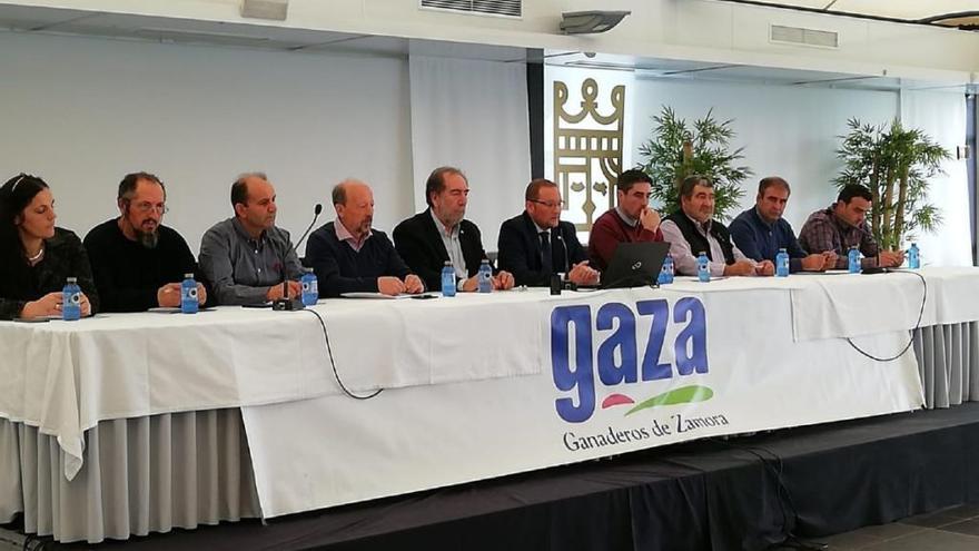 Asamblea de socios de Gaza, en la que se ha decidido el traslado a Coreses.