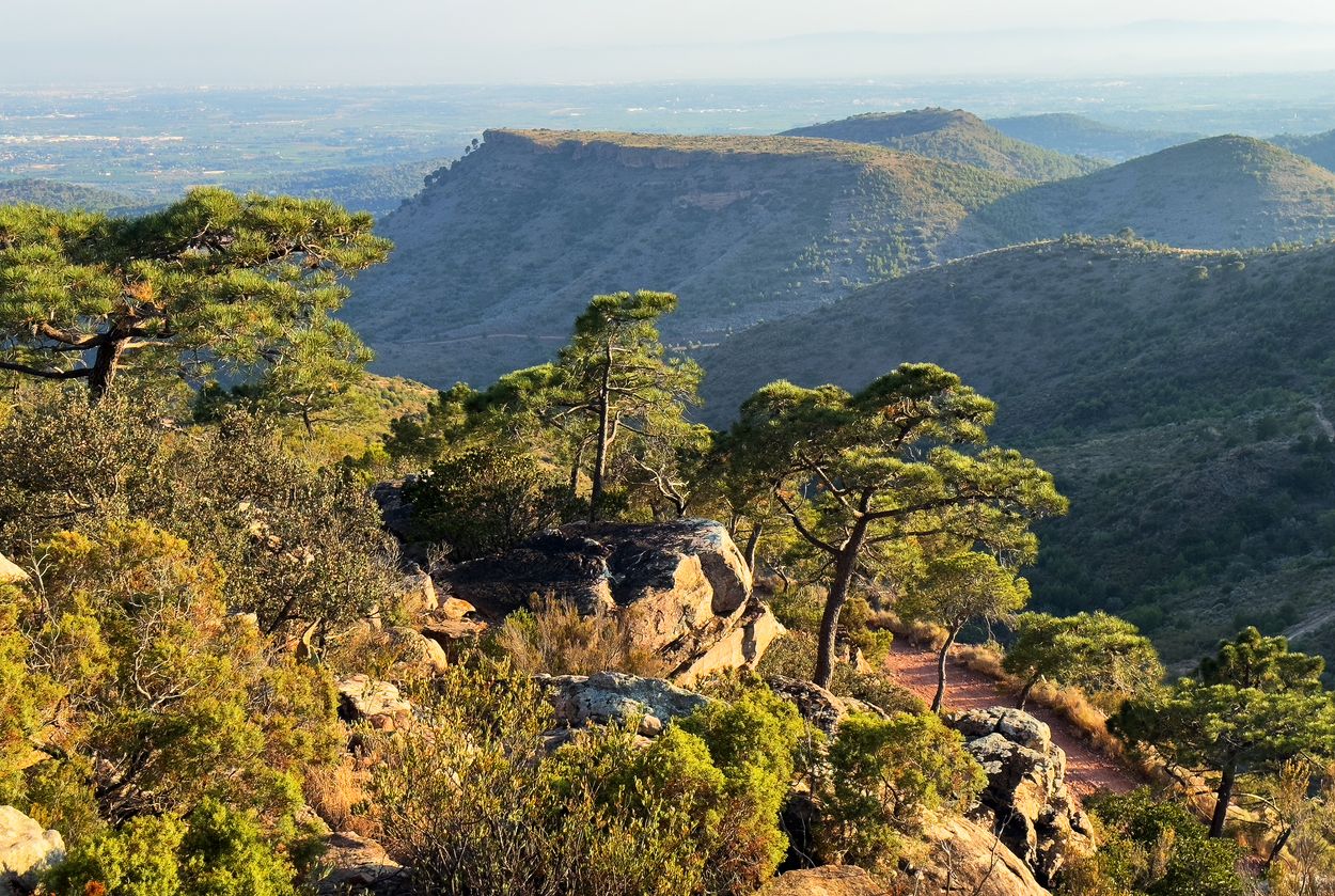 El Parque Natural de Sierra Calderona