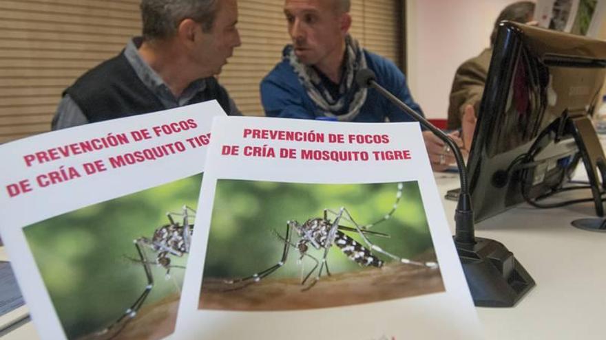 La Diputación inicia hoy los cursos de lucha antimosquitos