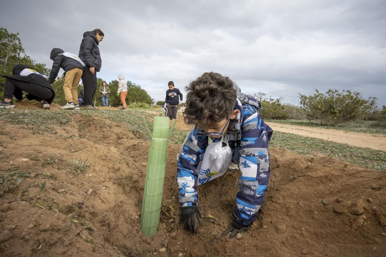 Jornada escolar plantación de especies autóctonas junto al parque natural de las lagunas de Torrevieja y La Mata