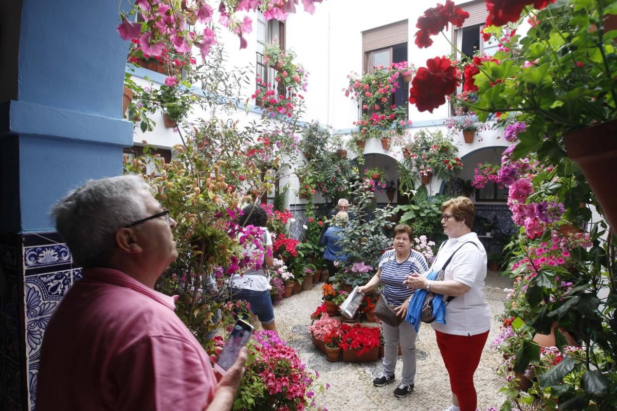 Los patios ganadores en imágenes