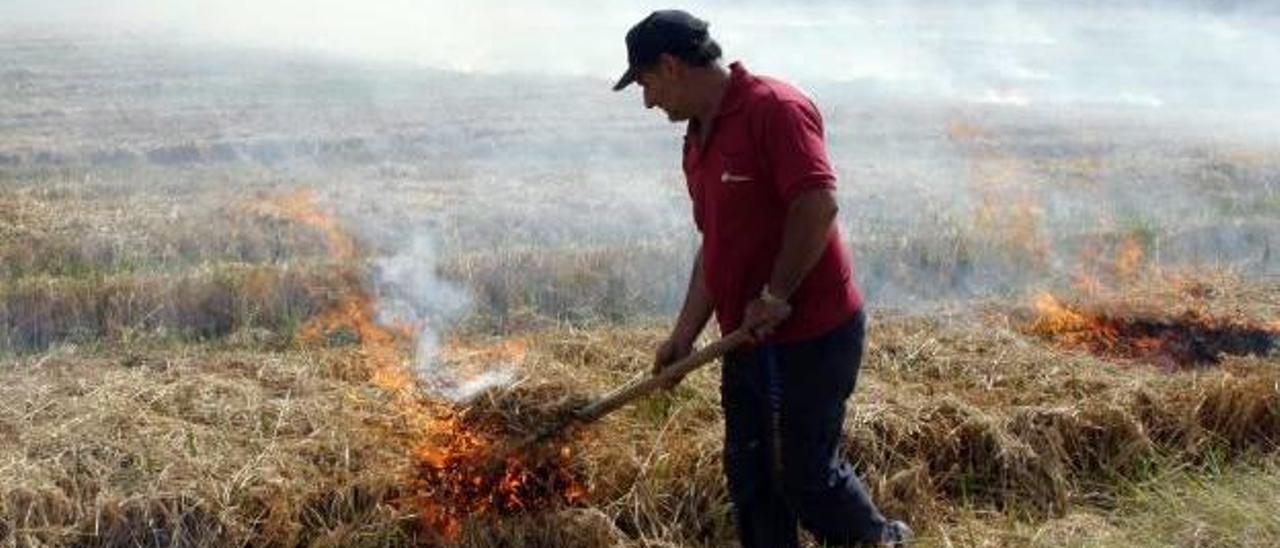 Un agricultor prende fuego a la paja del arroz, en una imagen de archivo.