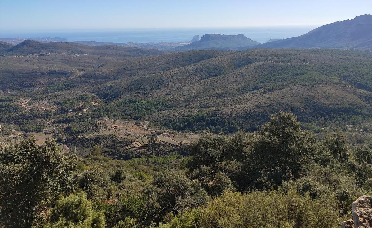 La ladera que se saca a subasta; al fondo, el mar, el Penyal d'Ifac y la Serra d'Oltà