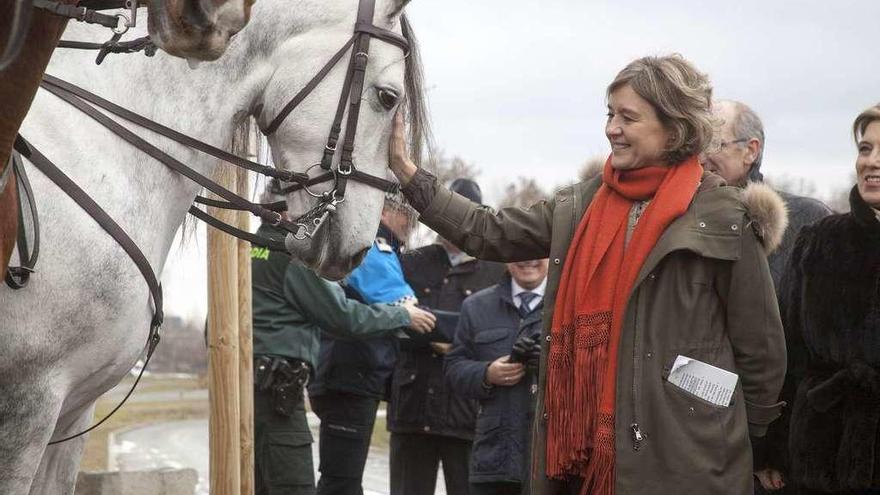 La ministra García Tejerina acaricia un caballo en su visita a las obras del parque fluvial La Aldehuela, Salamanca.