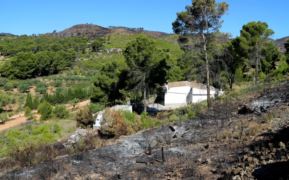 El desolador paisaje de la Calderona tras el incendio