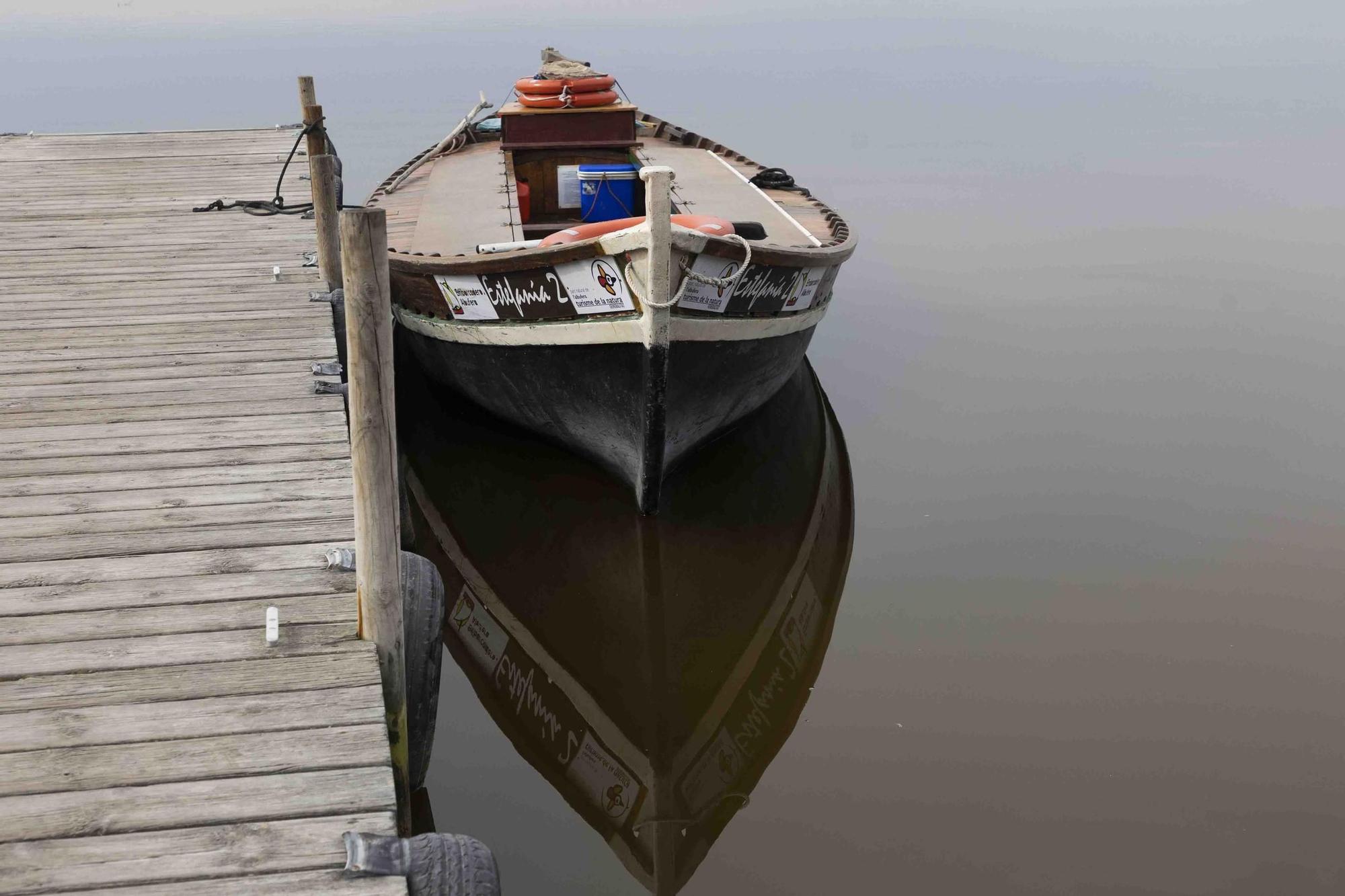 Paeos en barca en la Albufera