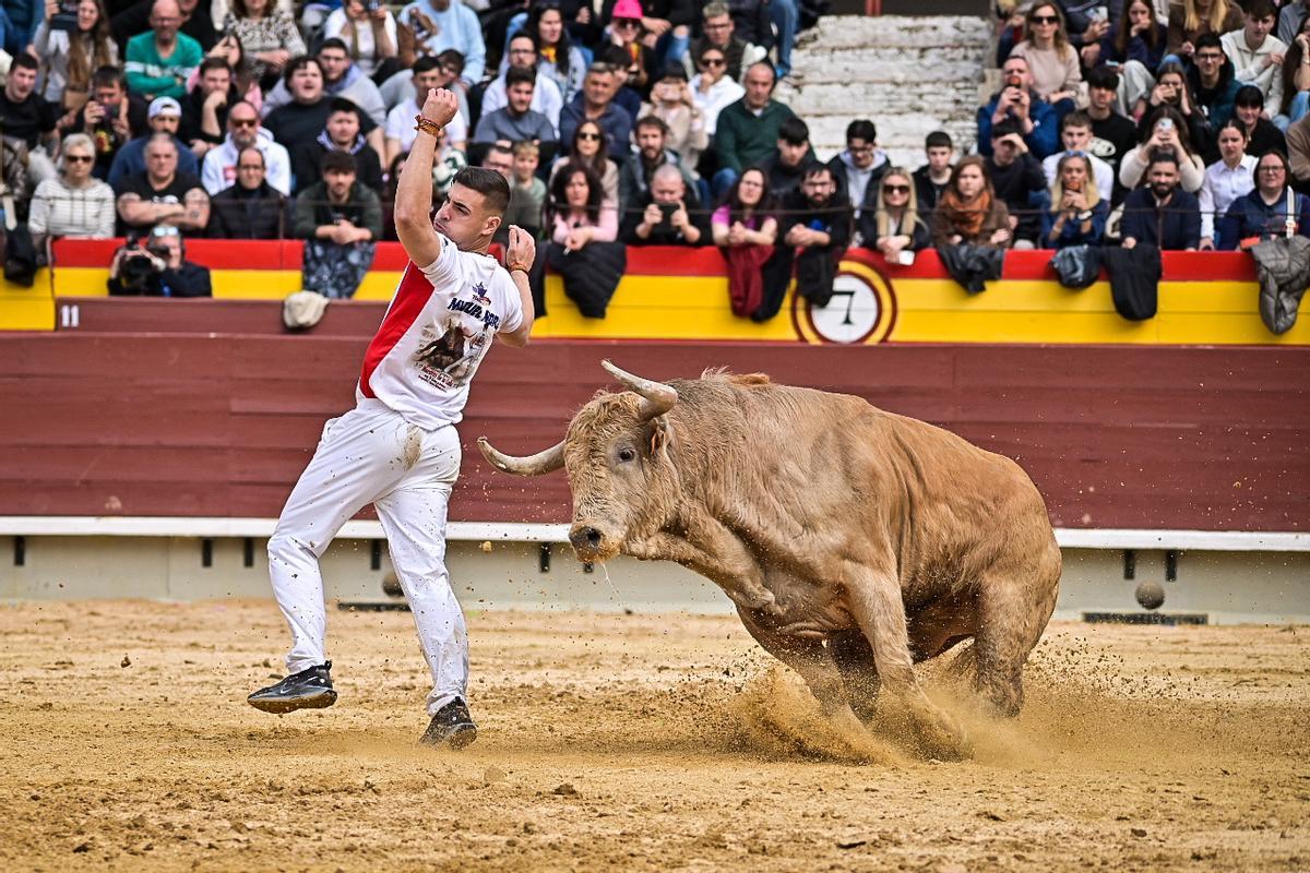 Galería de imágenes: Los maestros de la calle toman la plaza de Castelló