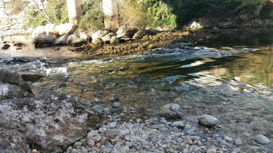 Xúquer Viu alerta del perjuicio para el río del plan hidrológico
