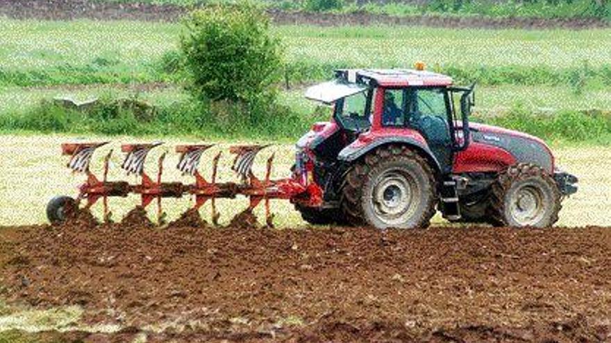 La agricultura continúa liderando la actividad dezana, con 3.643 afiliados