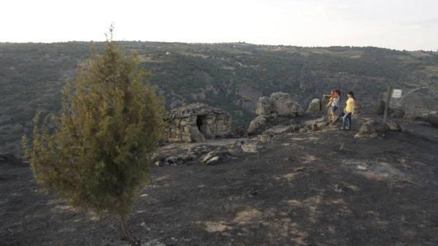 Estado que presentaba ayer el mirador de «La Boiza» de Mámoles, arrasado por el incendio.