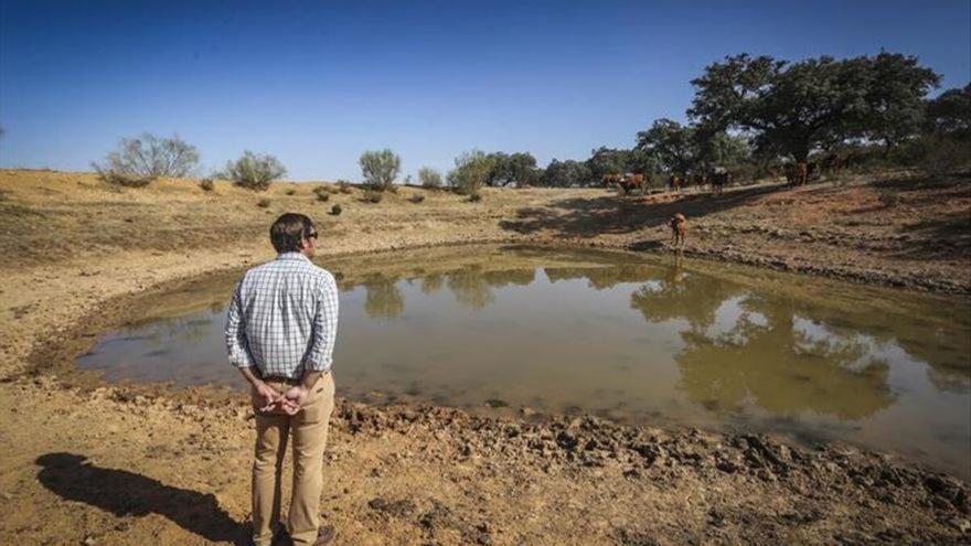 El campo extremeño está al límite por la sequía y peligra la campaña de regadío