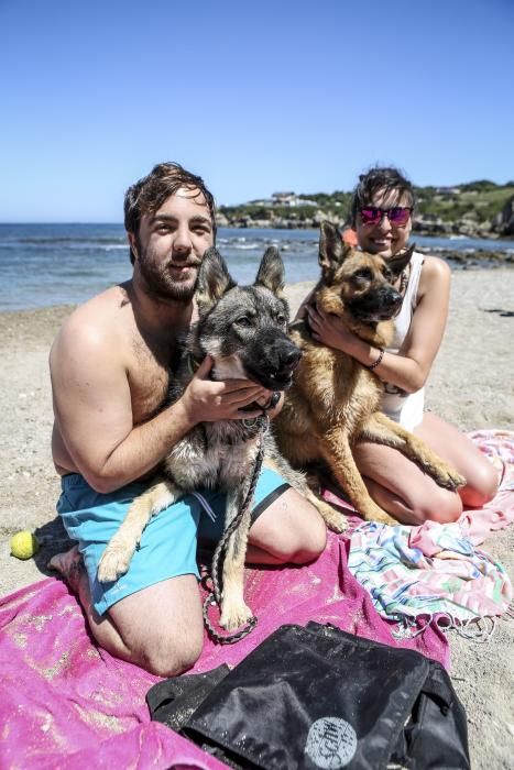 Baños al sol de los canes