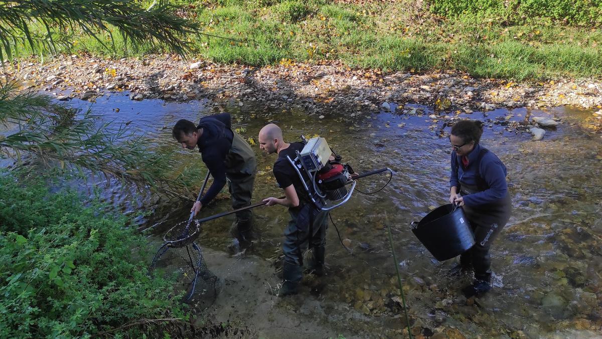 Técnicos de la CHJ recogiendo peces para comprobar si tienen sustancias tóxicas