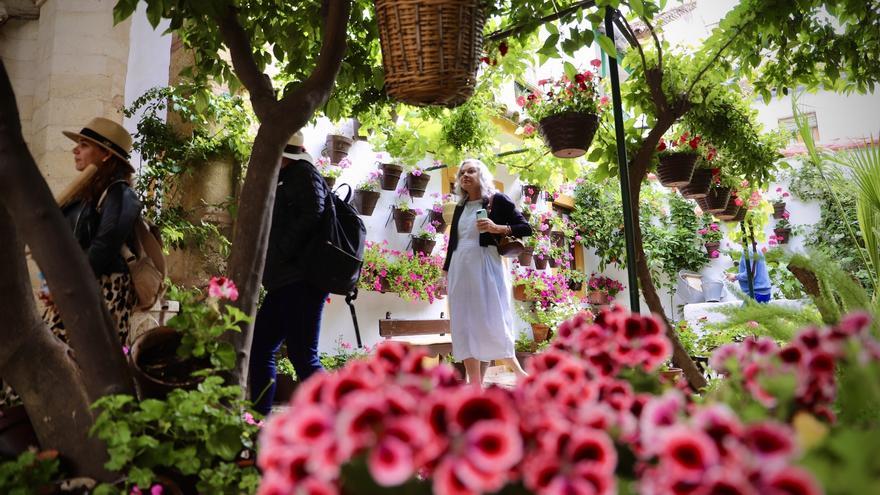 La categoría más joven del Concurso de los Patios de Córdoba crece: estos son los seis espacios conventuales que podrás visitar