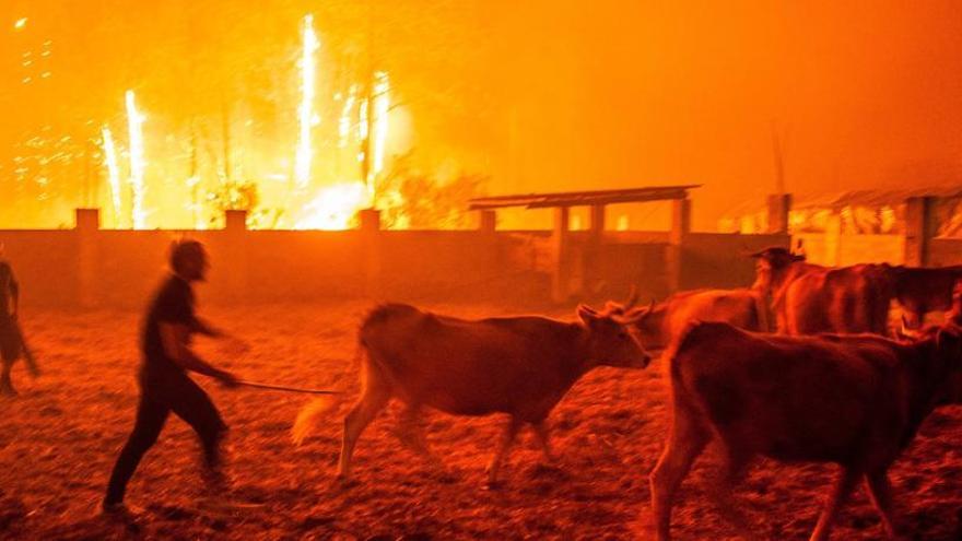 Un dels focs que cremen a Portugal.