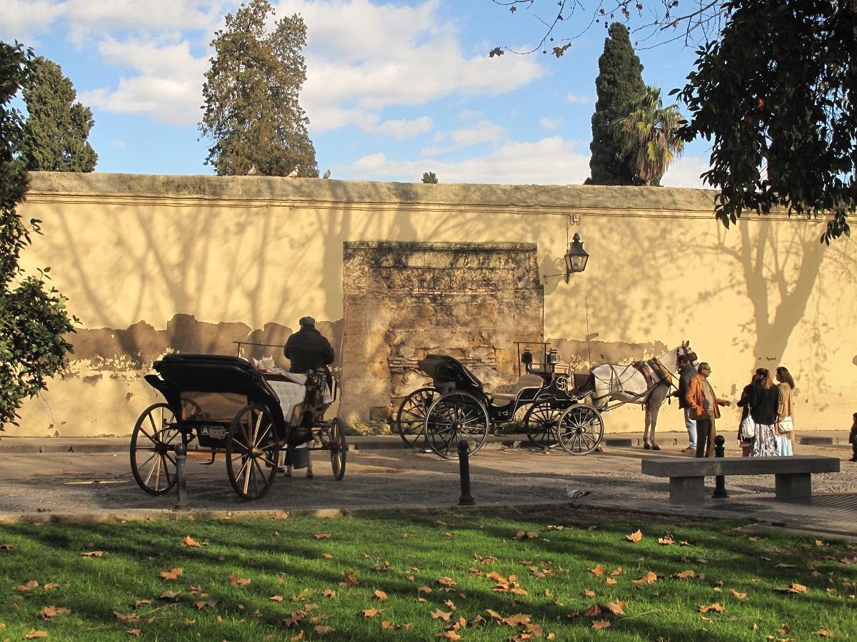 Muro que separa Campo Santo de los Mártires de los terrenos exteriores de la antigua biblioteca del Estado, donde ahora aparcan los coches de caballos para el turismo..jpg