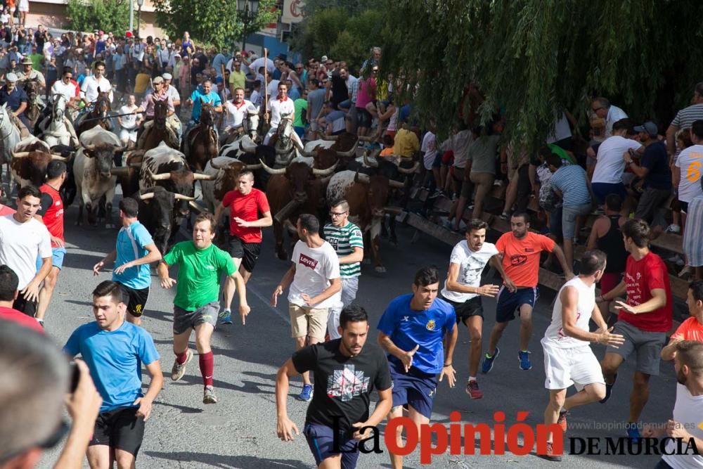 Quinto encierro en Moratalla