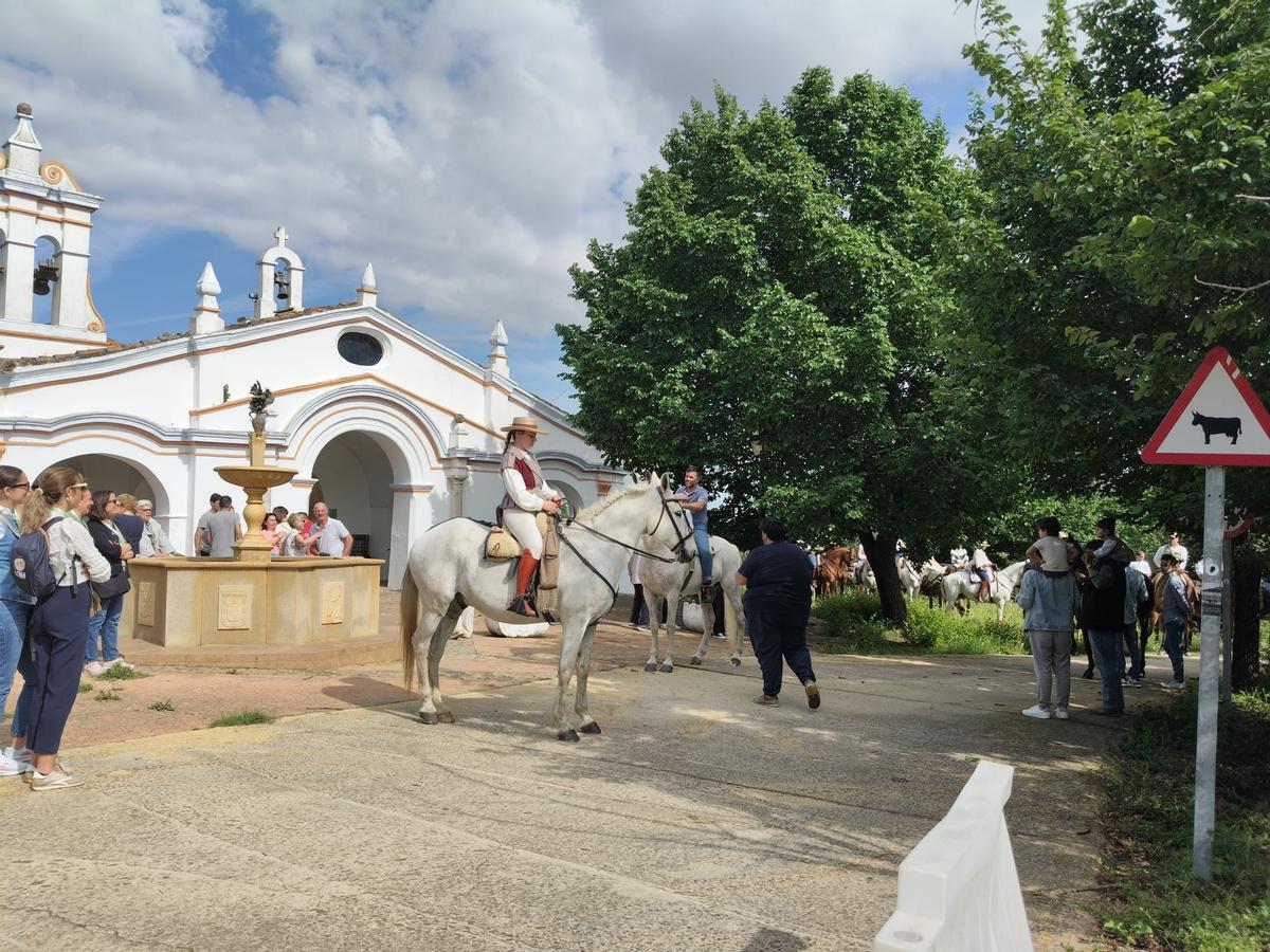 Galería | Coria recibe a su patrona, la Virgen de Argeme