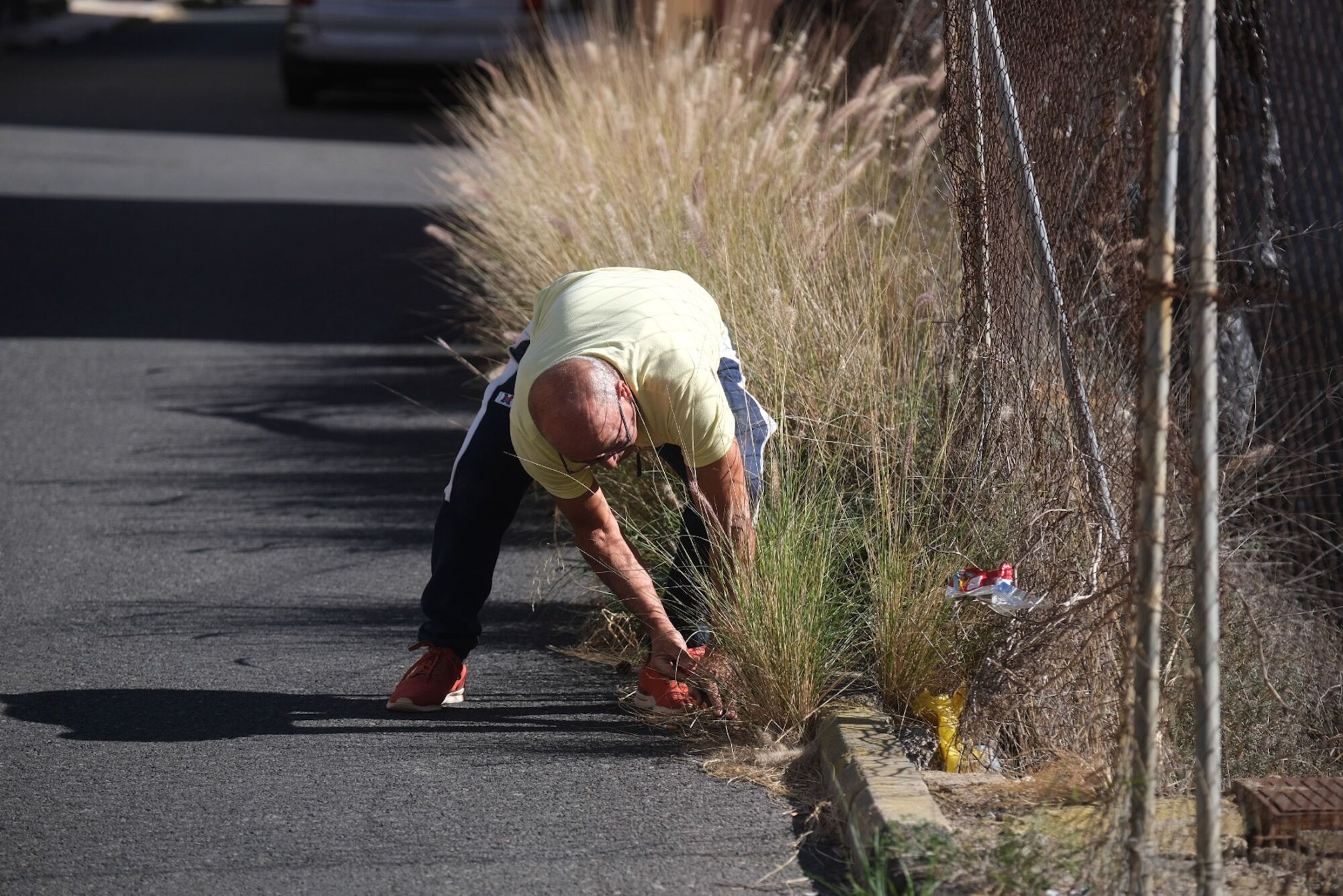 Rabo de gato en el barrio de Los Giles, en Las Palmas de Gran Canaria