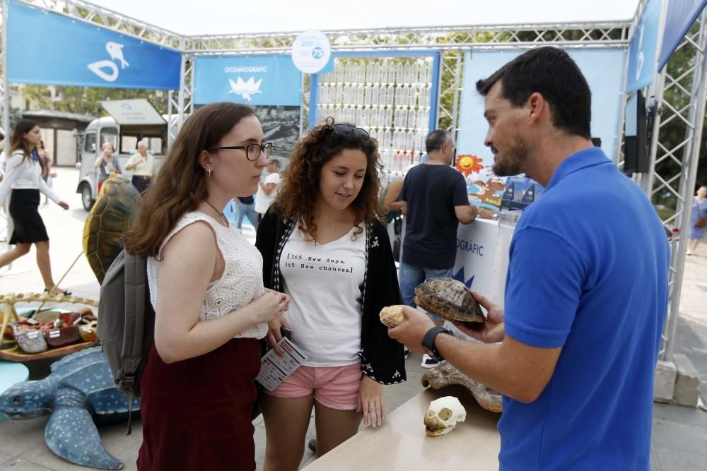 Presentación de Bonic/a Fest en Valencia