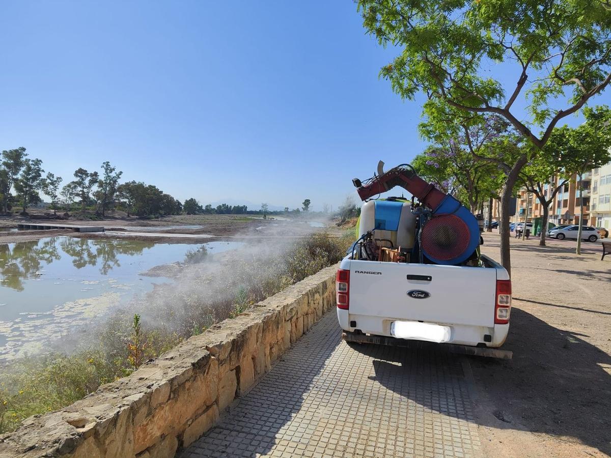 Tratamientos aplicados en Carlet contra el mosquito tigre por el agua estancada en el Magro.
