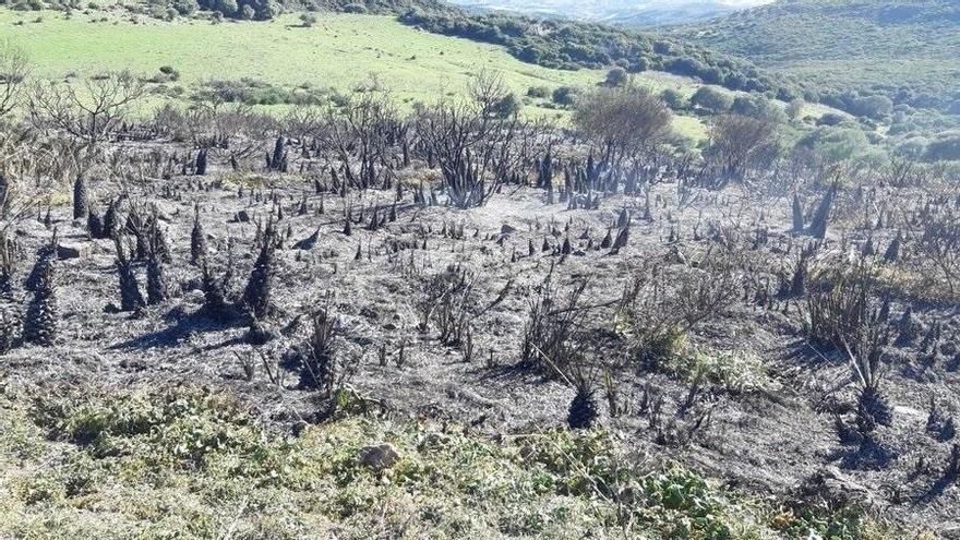 Extinguido el incendio forestal declarado en Casares