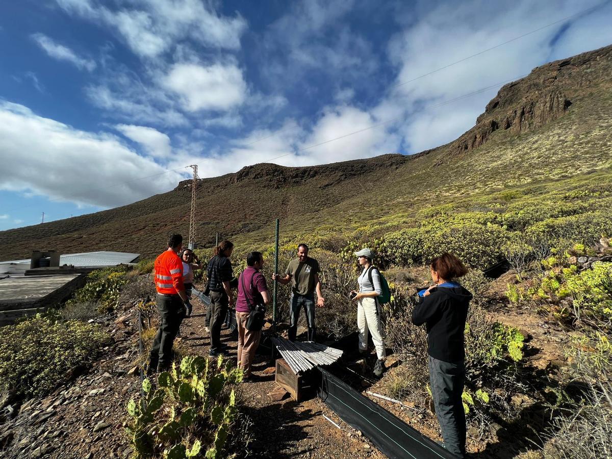 Un momento del encuentro entre Canarias y Baleares para la erradicación de especies invasoras.