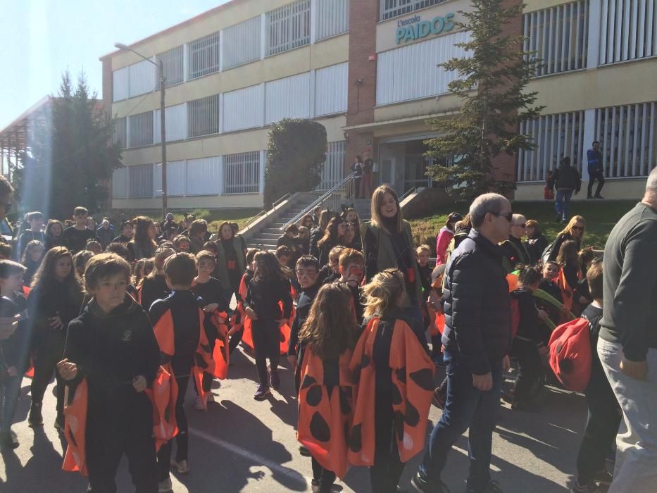 Els animals en perill d'extinció, protagonistes a la rua del Paidos