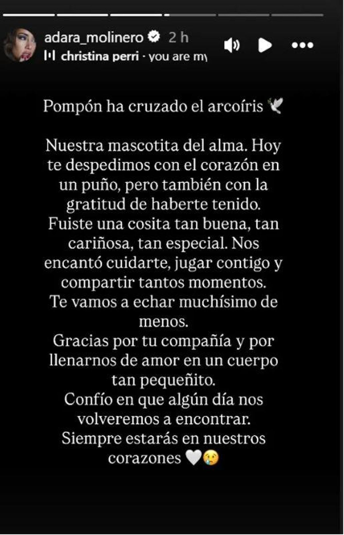 Nuevo varapalo para Adara Molinero tras comunicar la dura pérdida: &quot;Te despedimos con el corazón en un puño&quot;