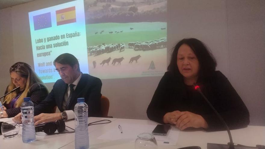 Asturias reclama medidas de control del lobo ante el debate sobre su protección