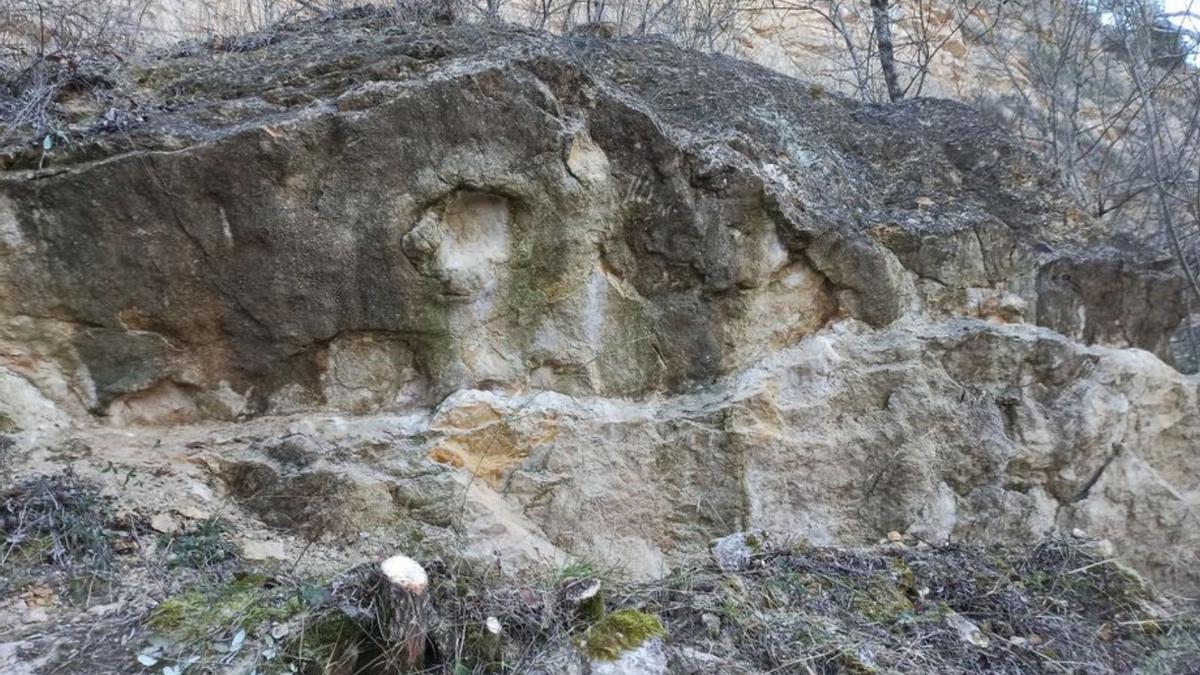 La huella está posicionada en una gran roca. | SERVICIO ESPECIAL