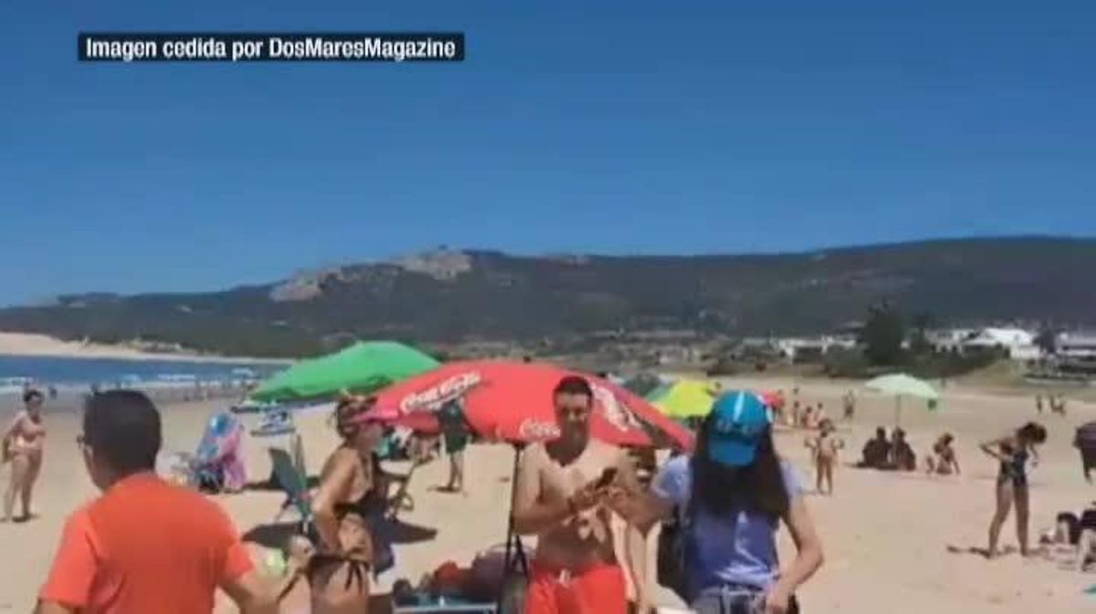Una vaca i el seu vedell es refugien de la calor en una platja de Cadis