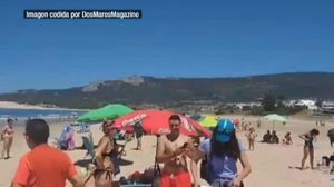 Una vaca i el seu vedell es refugien de la calor en una platja de Cadis