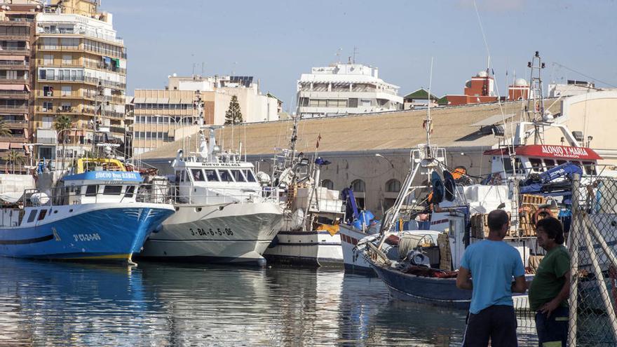 La Cofradía de Pescadores es galardonada con el «Diego Ramírez Pastor»