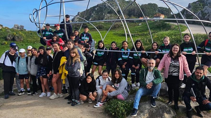 Por el Bosque Atlántico. | FDV