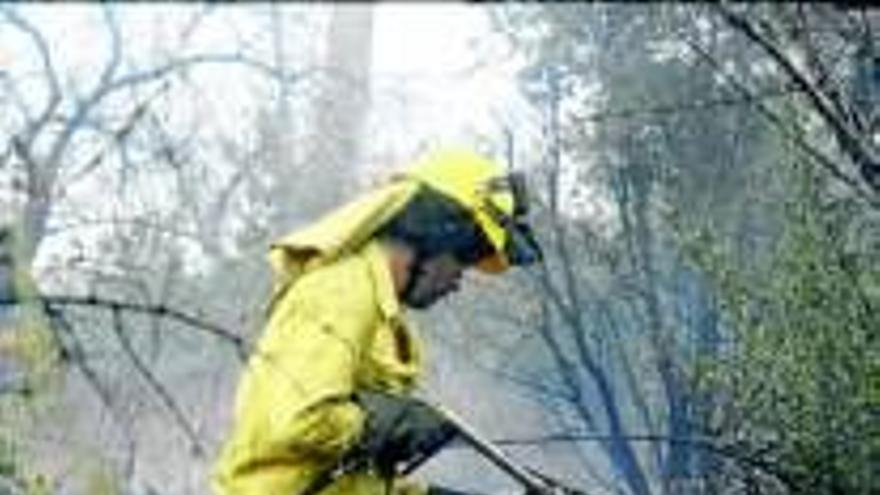 El plan contra incendios se reforzará con la ayuda ciudadana